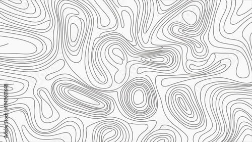 An abstract black and white illustration features flowing organic lines resembling topographical map contours or fluid shapes high quality professional detailed modern elegant stylish clean crisp