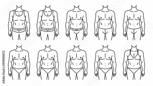 A series of line drawings depict various human body types showcasing differences in torso shape muscle definition and waistlines high quality professional detailed modern elegant stylish