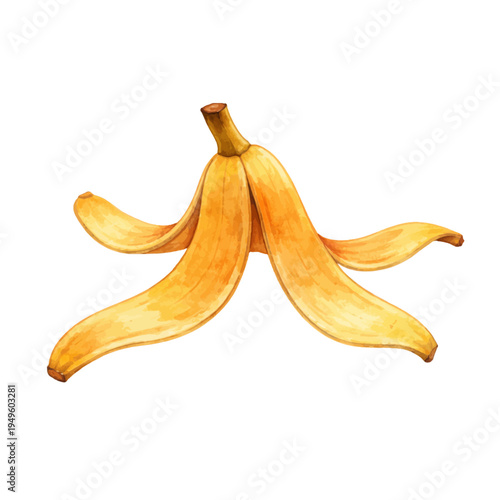A watercolor vector of a banana peel for fruit illustrations, kitchen humor designs, and cartoon slip hazard clipart.