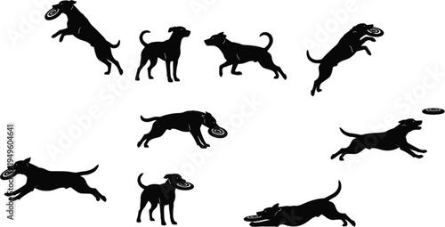 Active dogs catching discs silhouettes set featuring jumping running and playing pets for outdoor animal sport vector illustration