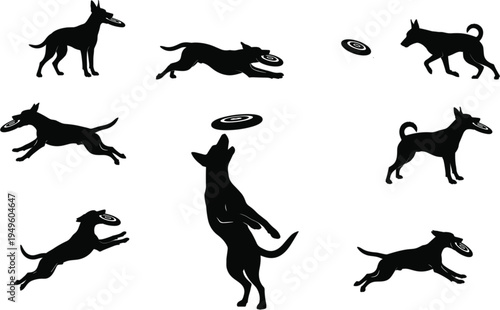 Active dogs playing with frisbee silhouettes set featuring jumping and running pets for outdoor sports and recreation designs