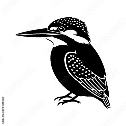 A striking black and white illustration of a belted kingfisher perched with a focused gaze