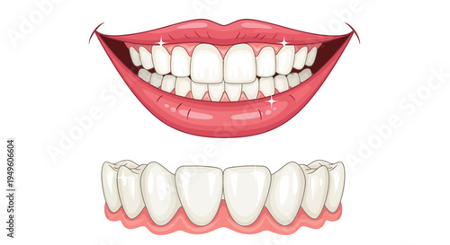 Illustration of a smiling mouth with white teeth and pink lips on a white background