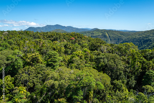 Canvas Print Aerial view of lush tropical rainforest canopy near Kuranda, Cairns, Queensland, Australia, taken in October 2025