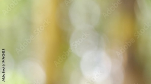 Abstract 4K nature bokeh of bright green and white sunlight through tree leaves. Soft out-of-focus background for cinematic video overlays.