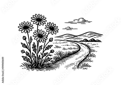 Daisy Flower Hand Drawn Illustration Vector by AZ for Books, Arts, Design and Decoration Graphic Asset