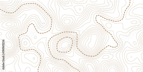 Topographic map and landscape terrain texture grid. Abstract white topography vector background.
