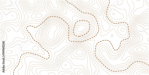Topographic map and landscape terrain texture grid. Abstract white topography vector background.