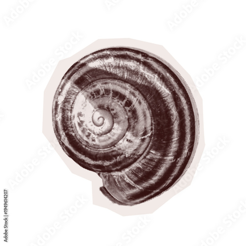 Trendy Halftone snail Grunge style transparent background. Isolated vector element with Retro dotted texture, mimicking cutout collage from old newspaper. Torn paper Y2K, Vintage Pop Art aesthetic