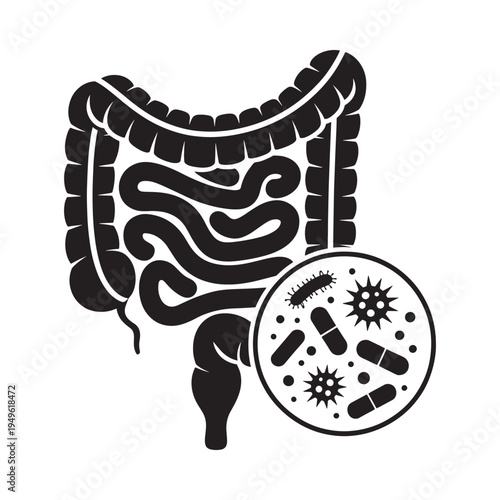 Illustration of the human intestine with gut bacteria and supplements