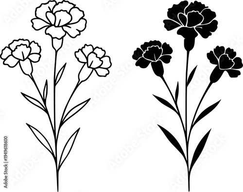 Carnation illustration icon, outline and silhouette, for plant or flower design