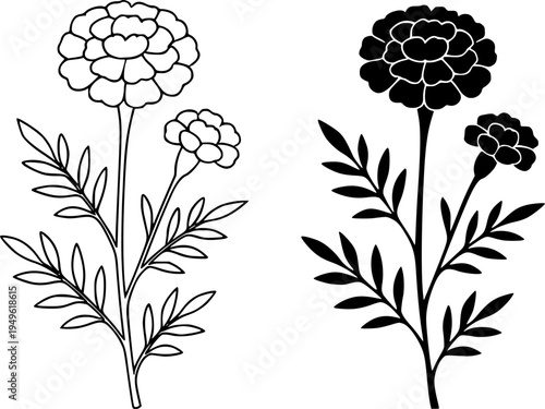 Marigold illustration icon, outline and silhouette, for plant or flower design