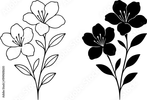 Azalea illustration icon, outline and silhouette, for plant or flower design