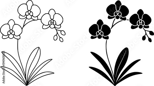 Moon orchid illustration icon, outline and silhouette, for plant or flower design