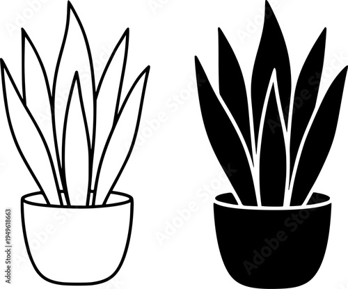 Snake plant illustration icon, outline and silhouette, for nature or flower design