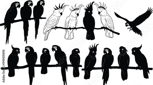 Collection of diverse black car silhouettes and automotive vehicle icons isolated on a white background, perfect for transportation design, web graphics, and modern minimalist interfaces.