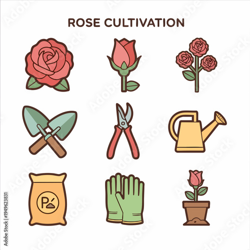 Rose Cultivation Tools And Rose Plant Set.