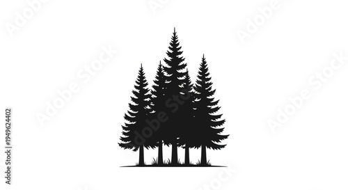 Silhouette of a cluster of pine trees in a forest.