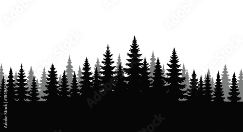 Silhouette of a dense evergreen forest with varying tree heights.