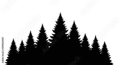 Silhouette of a dense forest with numerous pine trees against a clear sky.