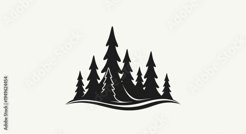 Silhouette of a dense forest with tall evergreen trees.
