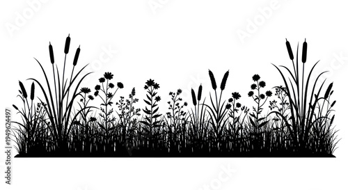 Silhouette of diverse wetland plants and flowers in a row.