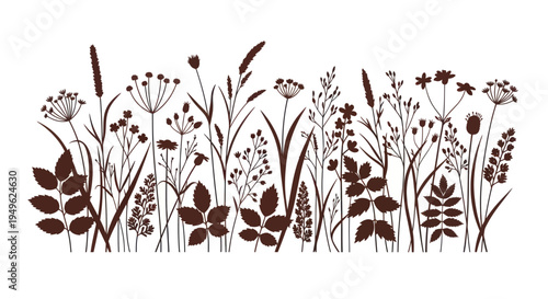 Silhouettes of various wild grasses and plants in a horizontal arrangement.