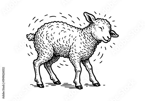 Fluffy Lamb Hand Drawn Illustration Vector by AZ for Books, Arts, Design and Decoration Graphic Asset