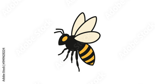 A black and yellow striped bee 1.