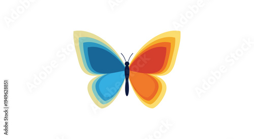 Colorful Butterfly Wings Spread Wide Open.