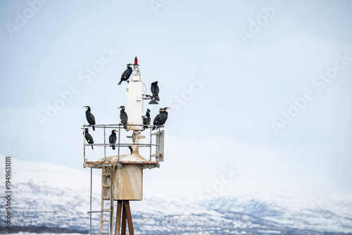 Tromso Arctic Norway Winter Photography