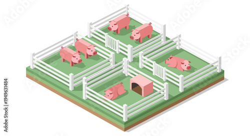 Isometric Pig Farm with Fenced Enclosures and Pink Pigs.