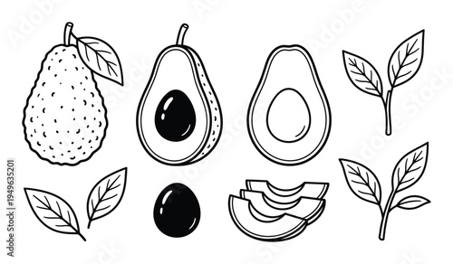 Avocado icon set with leaves and seeds, hand drawn illustration on transparent background