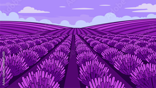 Vibrant Lavender Field Landscape Background - Provence Style Agricultural Scenery