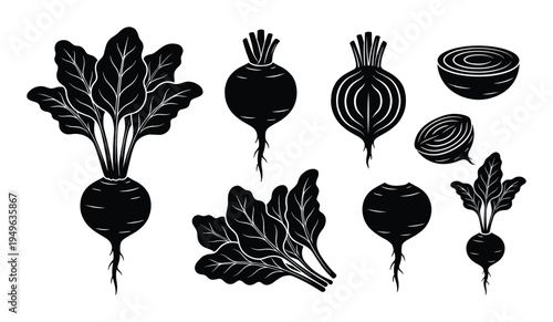 Beetroot silhouettes and sliced segments collection for organic vegetable design elements