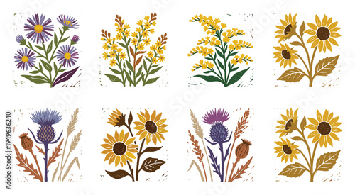 Wildflower floral botanical illustration with sunflower, thistle, and aster in square designs