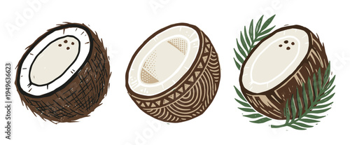 Coconut halves illustration with detailed textures and tropical palm leaf accents, creating a vibrant island vibe