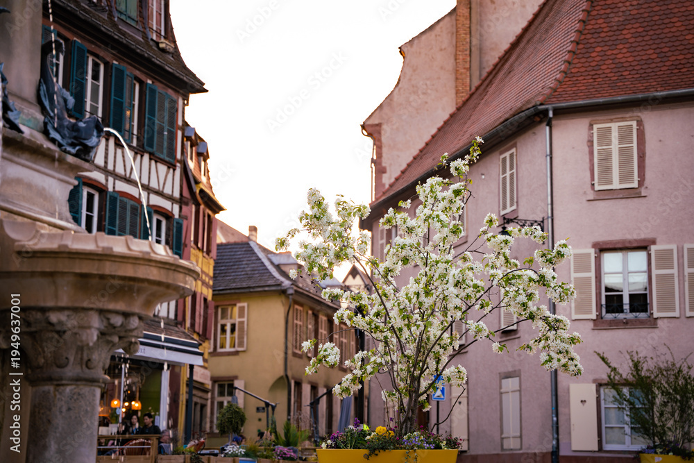 Fototapeta premium Colmar Alsace France Travel Photography