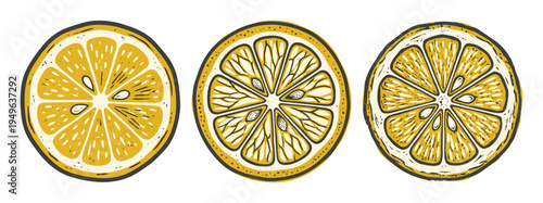 Three sliced lemon citrus fruits vector illustration, showing segments and seeds on a white backdrop