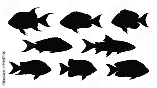 A group of fish silhouettes swimming together