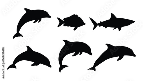 Black silhouettes of dolphins and fish swimming