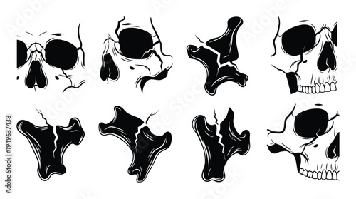 Collection of broken skull and bone fragments for Halloween or horror themes