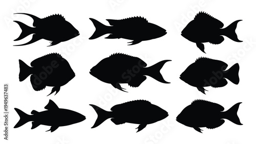 A group of fish silhouettes in various swimming positions