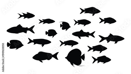 A school of fish swimming together