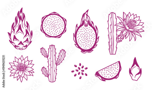 Set of dragon fruit pitaya elements including whole fruit, sliced fruit, cactus, and flower designs