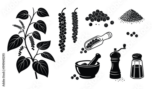 Black pepper plant and peppercorn spice icons set on transparent background