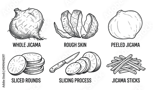 Jicama preparation steps from whole root to rough skin peeled vegetable and sliced sticks