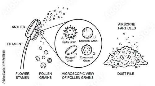Pollen grain microscopic view and anther filament of flower stamen dust pile