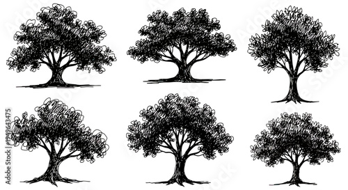 Collection of Hand-Drawn Ink Sketch Trees with Detailed Foliage and Trunks.
