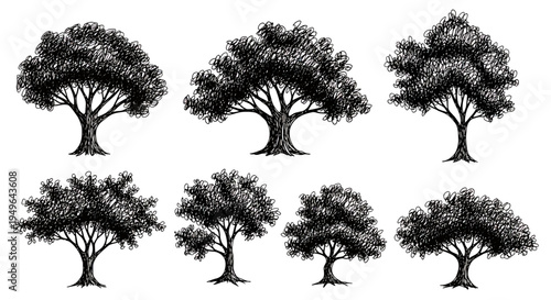 Collection of Hand-Drawn Trees in Engraving Style.